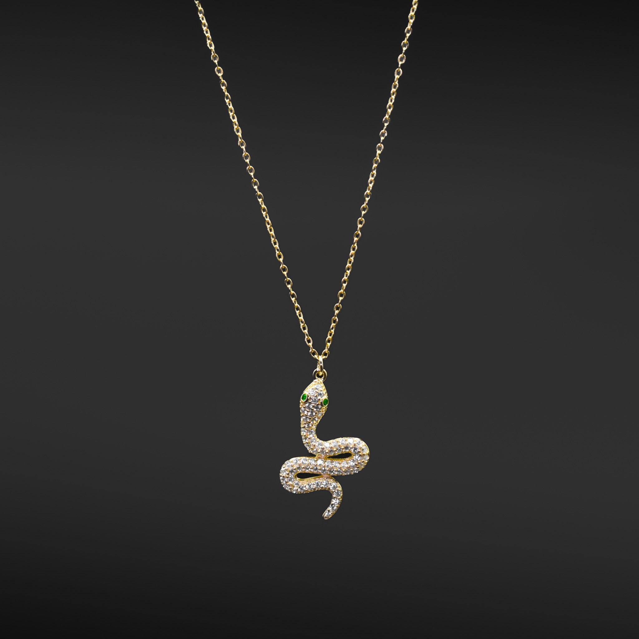 Snake Charm Necklace